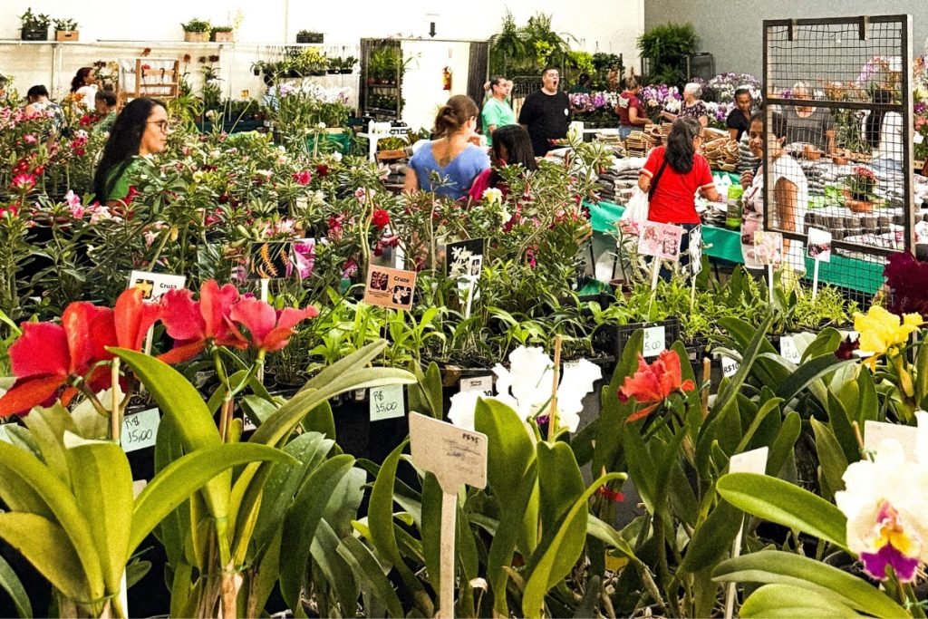 Exposição gratuita em Aparecida de Goiânia reunirá plantas, frutas exóticas, gastronomia e ação solidária. (Foto: Reprodução/Instagram/@expoorquideasapgo)