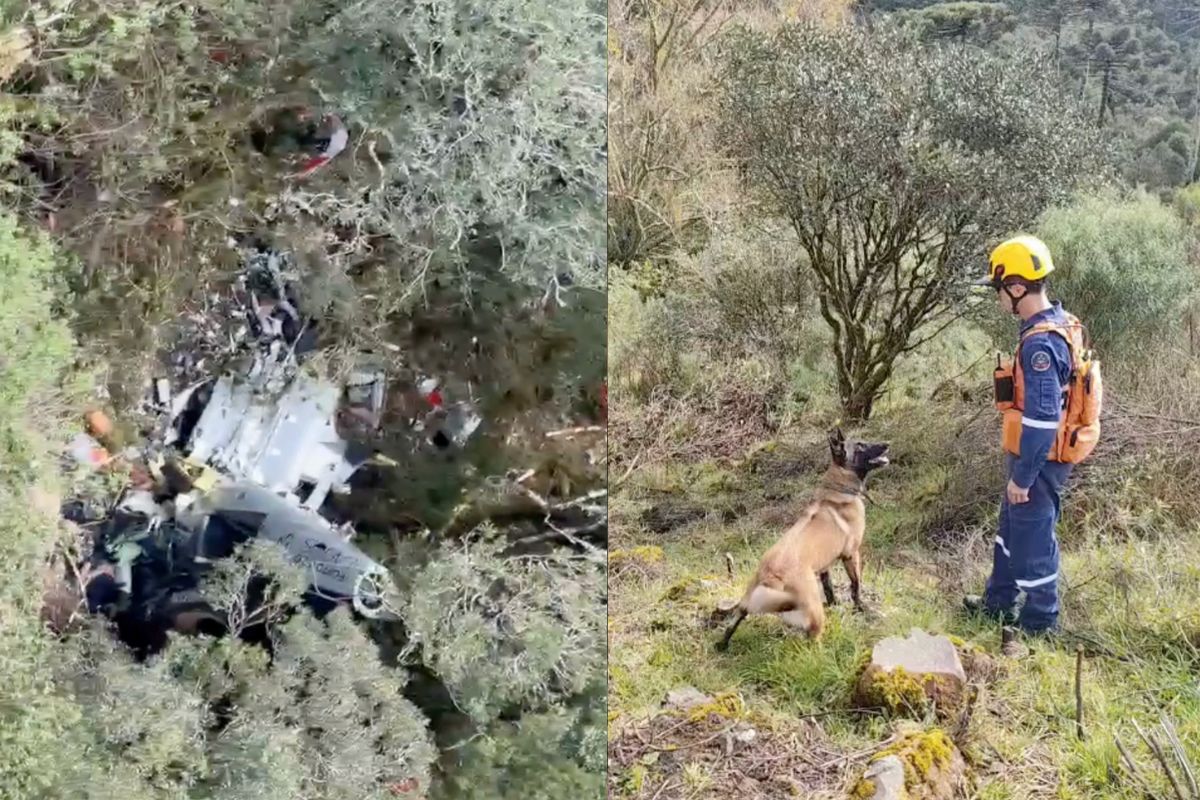 Destroços do helicóptero foram encontrados em uma área de mata na Serra Catarinense nesta terça-feira (22). (Foto: Reprodução/CBM-SC)