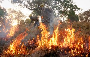 Corpo de Bombeiros alerta sobre perigos de incêndios no período de seca. (Foto: Divulgação)