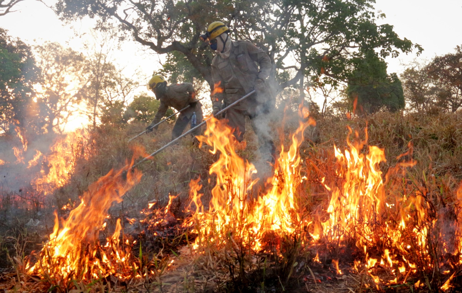 Corpo de Bombeiros alerta sobre perigos de incêndios no período de seca. (Foto: Divulgação)