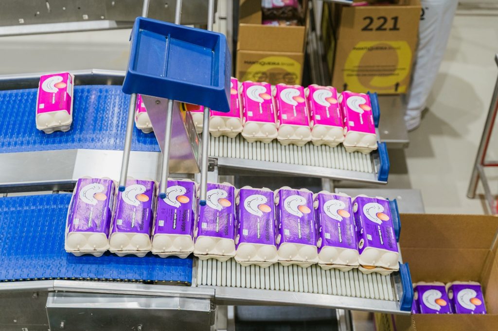 O portfólio da Mantiqueira inclui diferentes linhas de ovos e produtos derivados, comercializados no Brasil e em mercados internacionais. (Foto: Divulgação/Mantiqueira Brasil)