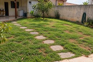 Adeus, gramado falhado: como acabar com as falhas e fazer a grama crescer mais rápido, segundo jardineiro