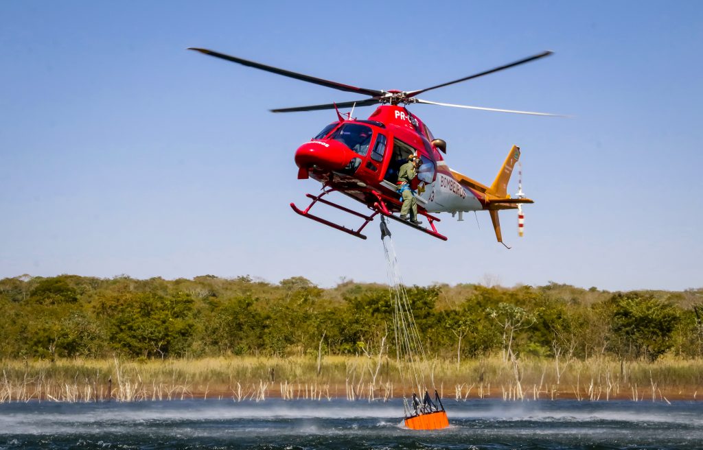 Plano de prevenção também fomenta a economia verde ao incentivar cadeias produtivas da sociobiodiversidade. (Foto: Divulgação)