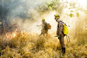 Com a chegada do período mais crítico da estiagem, o Estado de Goiás intensificou as ações de prevenção. (Foto: Divulgação)
