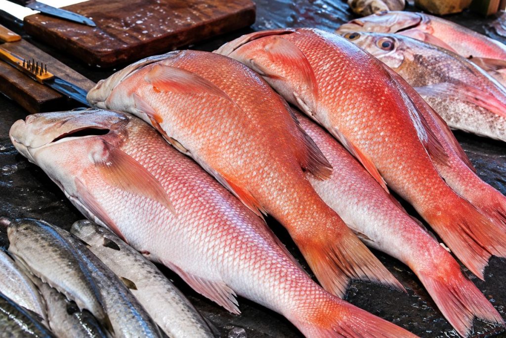 peixe fresco