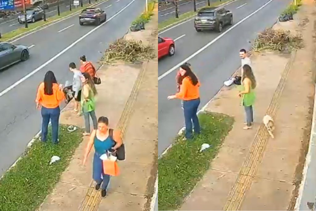 Vídeo mostra resgate de cachorro jogado em bueiro por idoso; suspeito foi preso em Goiânia