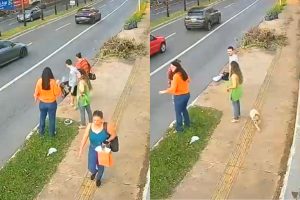 Vídeo mostra resgate de cachorro jogado em bueiro por idoso; suspeito foi preso em Goiânia