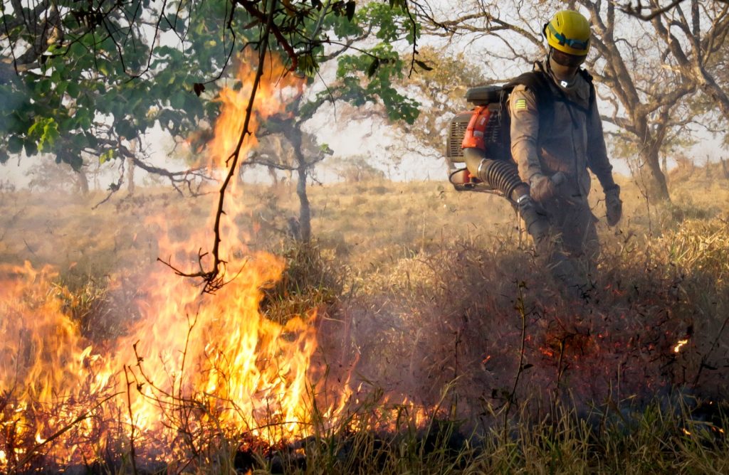 População deve evitar queimadas em lotes e dar destinação correta ao lixo e aos restos de poda. (Foto: Divulgação)