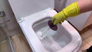 limpando vaso sanitário