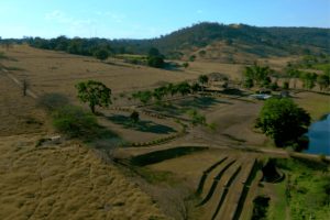 Antiga fazenda de Glória Pires em Goiás dá lugar a condomínio com 489 lotes e clube de campo
