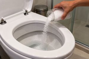 sal no vaso sanitário antes de dormir