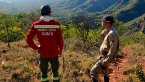 Plano de prevenção também fomenta a economia verde ao incentivar cadeias produtivas da sociobiodiversidade. (Foto: Divulgação)