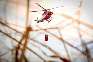 Segundo o Corpo de Bombeiros, grande parte dos incêndios em vegetação tem relação com a ação humana. (Foto: Divulgação)