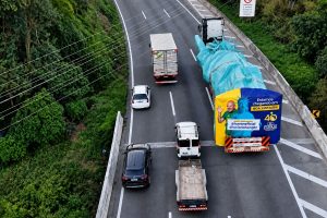 Estátua da Liberdade em transporte