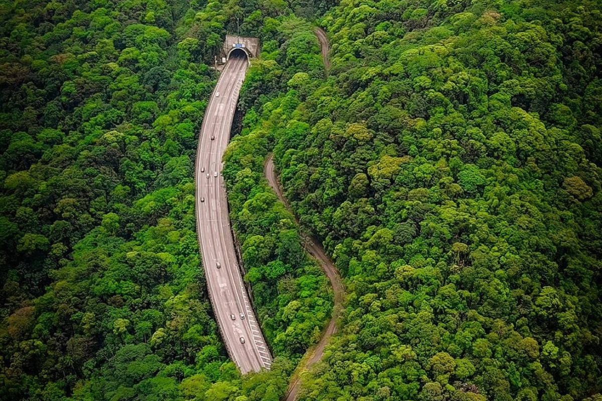 Rodovia brasileira com mais de 58 km corta a Mata Atlântica com viadutos de até 70 metros, passa por dentro de morros com túneis e tem 20 km de curvas suaves para reduzir os riscos sob neblina