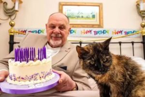 Gata de 146 anos humanos busca entrar no livro dos recordes como a mais velha do mundo