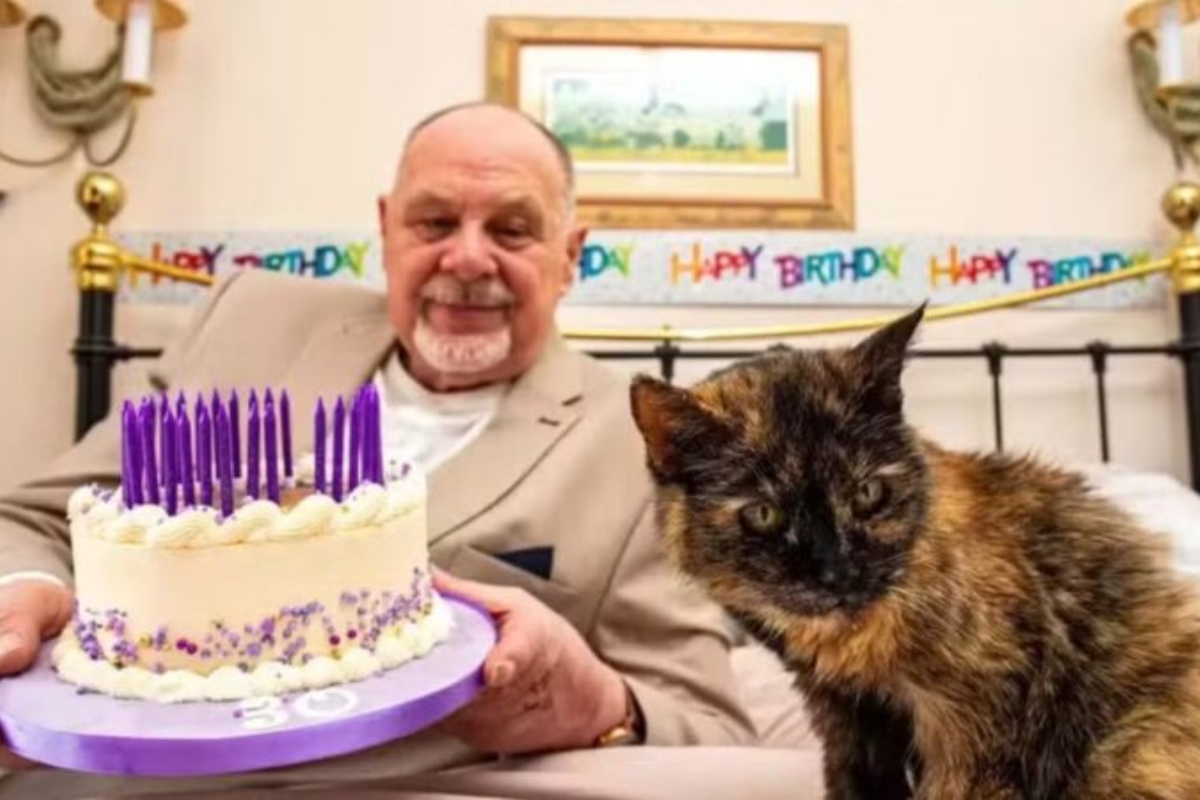Gata de 146 anos humanos busca entrar no livro dos recordes como a mais velha do mundo