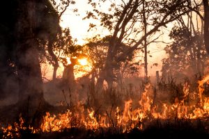 Com a estiagem, população deve redobrar a atenção, evitar queimadas em terrenos e dar destinação correta ao lixo. (Foto: Divulgação)