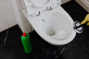 Limpeza de vaso sanitário