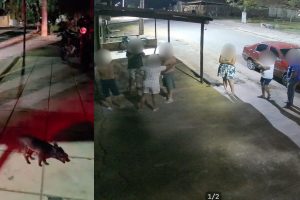 Imagens de câmeras de segurança registraram a entrada de pessoas na residência durante a confusão envolvendo a posse de um cachorro, em Abadiânia. (Foto: Reprodução/Arquivo pessoal)