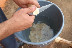Deixar a guariroba de molho na água com sal antes de refogar: para que serve e por que tira o amargor que assusta quem é de fora de Goiás