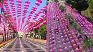 Túnel de guarda-chuvas rosa foi montado na avenida Assis Chateaubriand, próximo à Praça da Tamandaré.