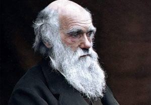 Reflexão sobre adaptação atribuída a Charles Darwin