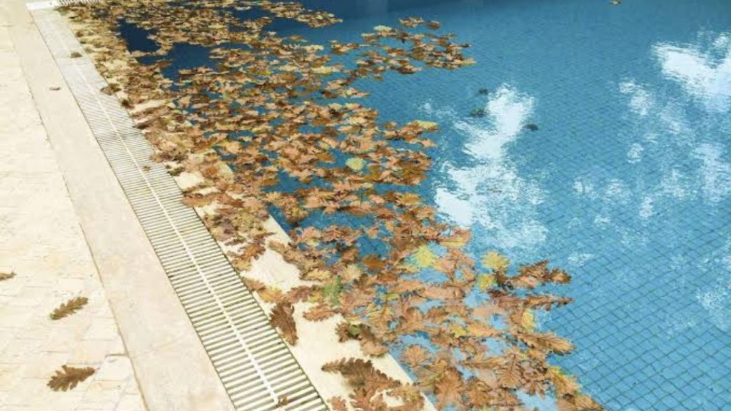 piscina suja