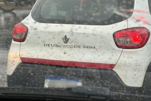 adesivo curioso em Goiânia