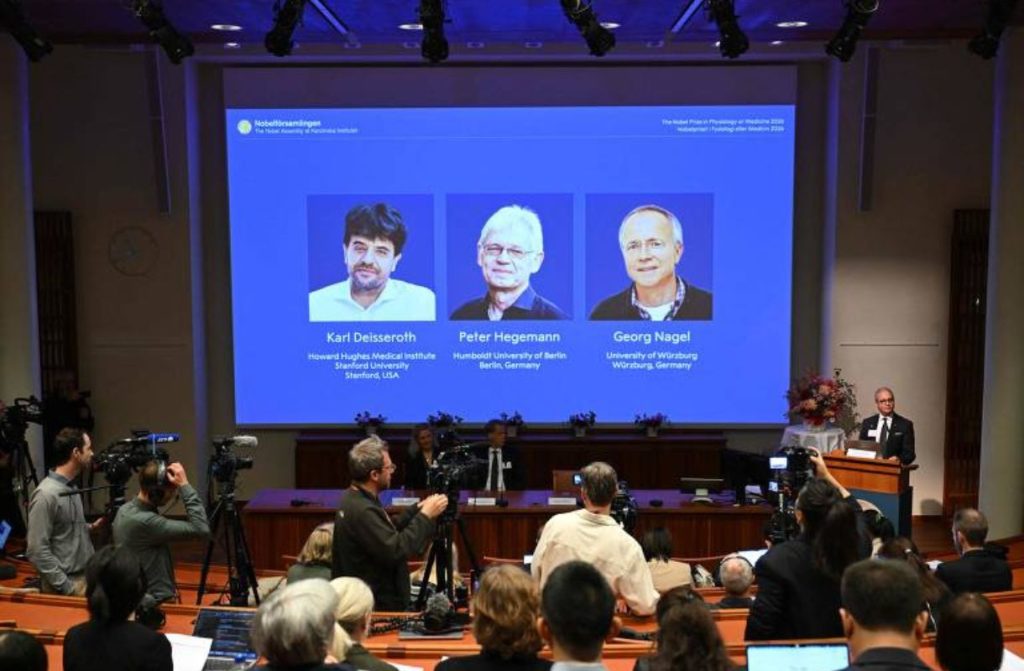 Curiosidade sobre como algas vão em direção à luz gerou pesquisa laureada com o Nobel