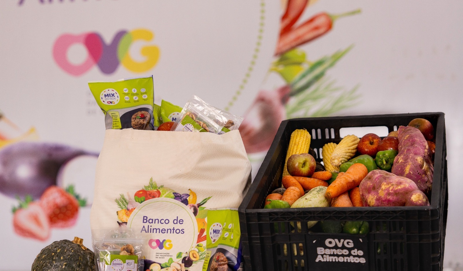 Famílias de Goiânia pode se cadastrar para receber semanalmente frutas, verduras e hortaliças da OVG