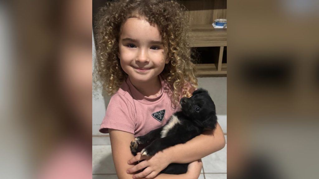 É preciso pensar bem antes de presentear uma criança com animais.