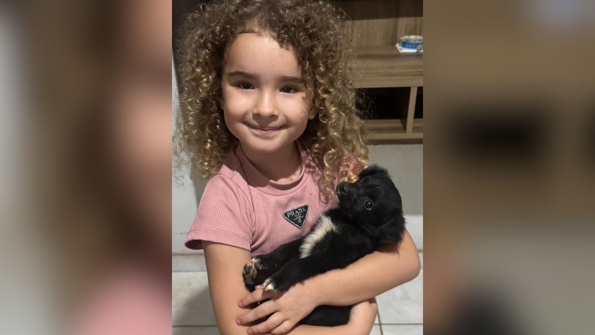 É preciso pensar bem antes de presentear uma criança com animais.