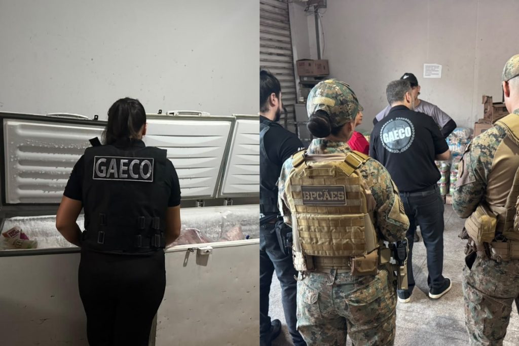 Operação Sem Recreio cumpre 17 mandados em investigação sobre contratos de fornecimento de alimentos para escolas estaduais de Goiânia. (Foto: Gaeco)