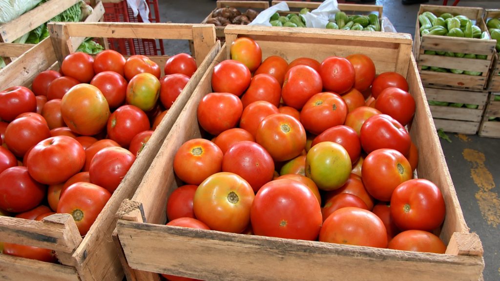 tomate