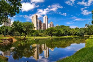 Goiânia (GO).