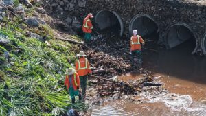 Servidores da Comurg limpam córregos em Goiânia.