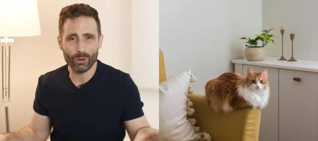 gato com o rabo levantado para cima