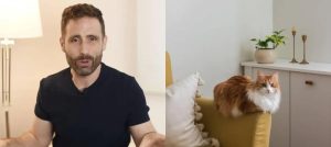gato com o rabo levantado para cima