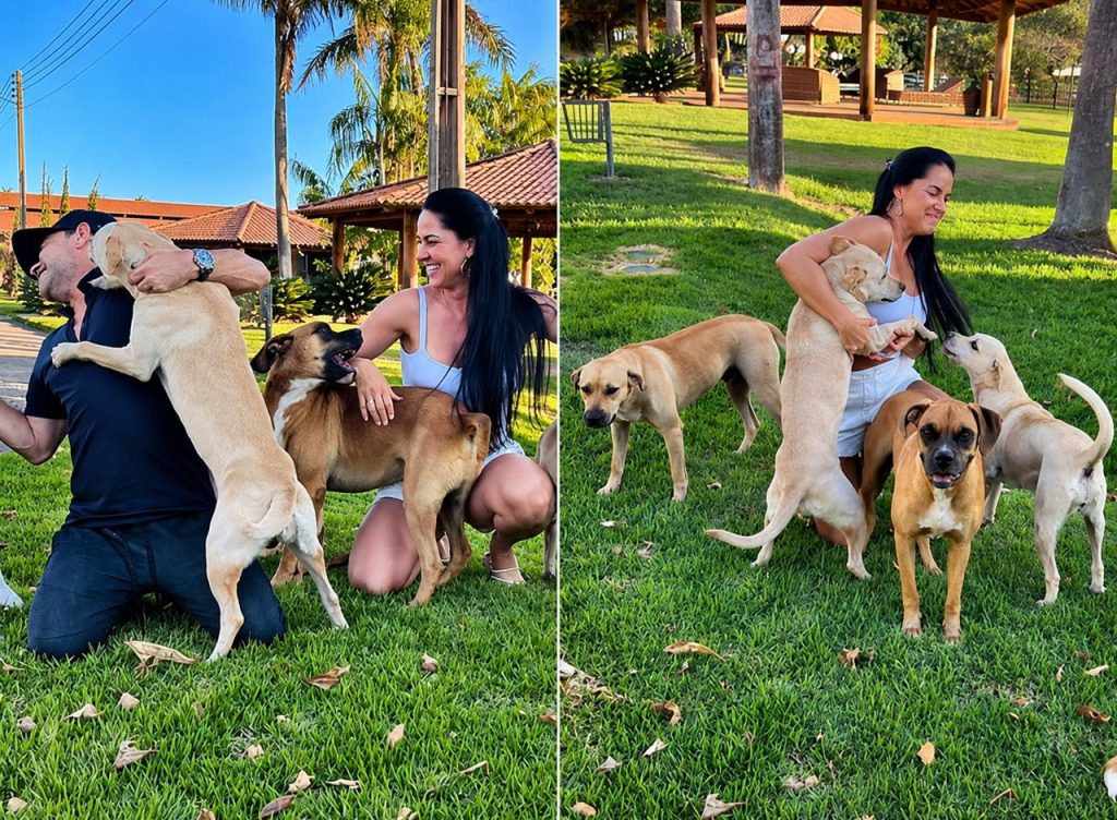 Zezé Di Camargo acolhe animais