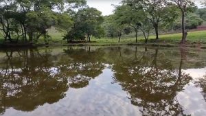 Corpo de homem que caiu em represa de 6 metros em Nerópolis é localizado.