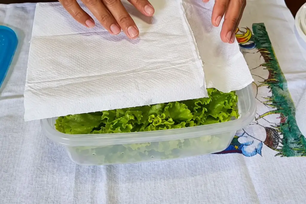 Truque com papel toalha pode ajudar a manter a crocância do allface