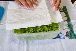 Truque com papel toalha pode ajudar a manter a crocância do allface