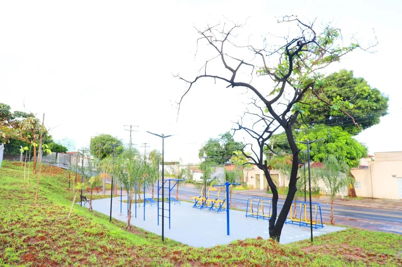 Parque da Serrinha terá novos espaços de visitação e contemplação da paisagem urbana. (Foto: Reprodução/Bárbara Melo e Edinan Ferreira)