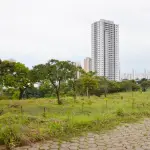 Projeto de revitalização do Parque da Serrinha prevê recuperação de áreas degradadas e plantio de 5 mil mudas nativas do Cerrado. (Foto: Reprodução/Bárbara Melo e Edinan Ferreira)