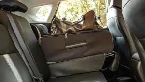 malas no banco de trás do carro