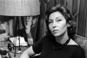 Clarice Lispector / frase do dia / reflexão