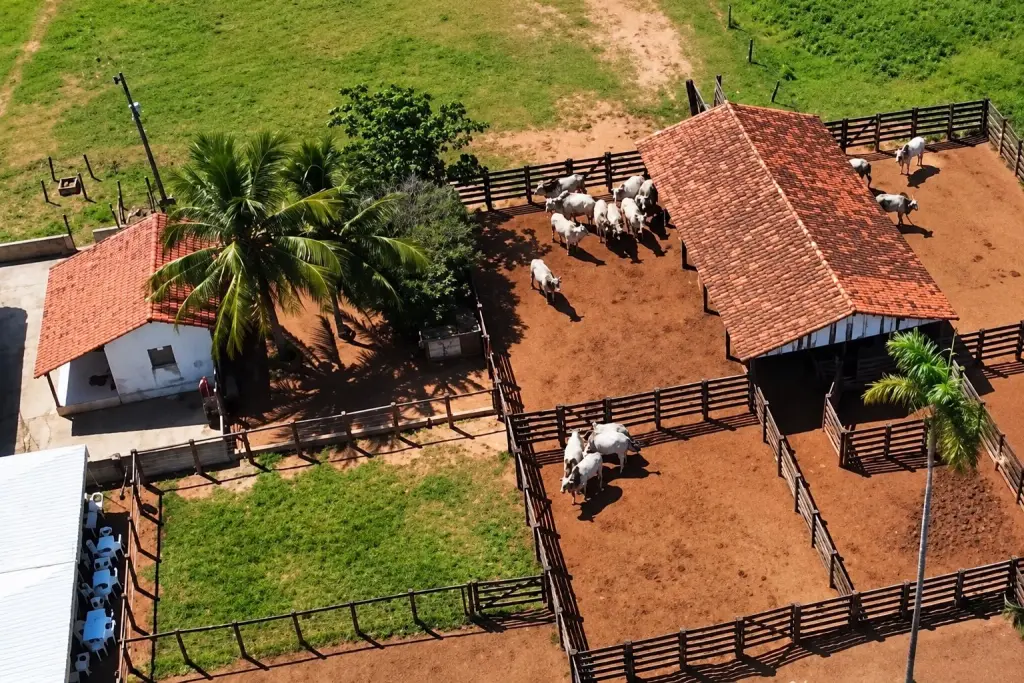 fazenda de Chitãozinho