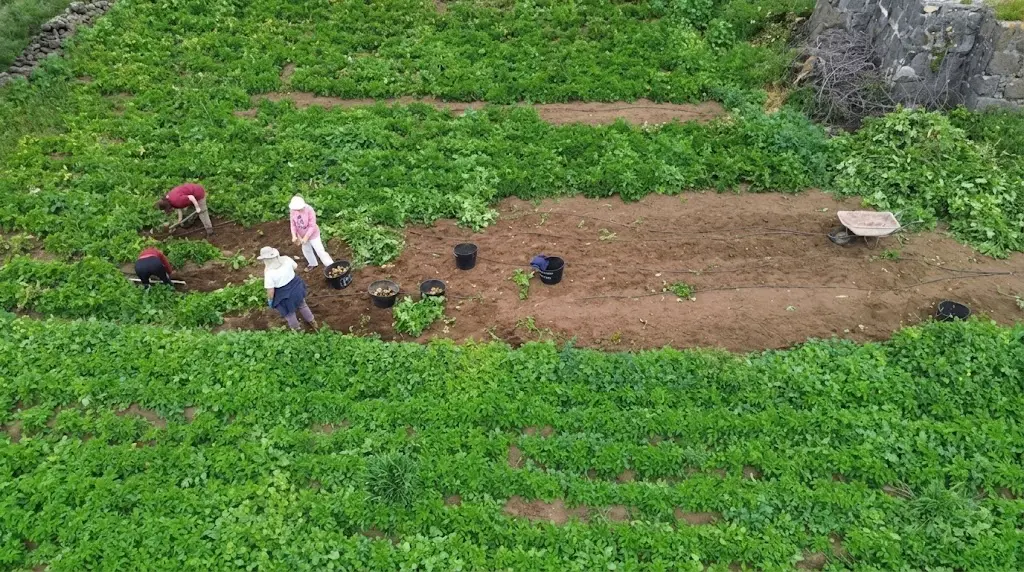 Ela largou tudo para ajudar na fazenda da família