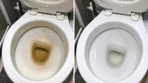 tirar o amarelado do vaso sanitário